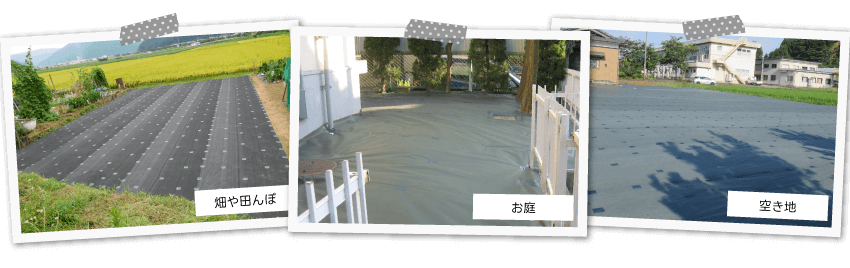 畑や田んぼ・お庭・空き地