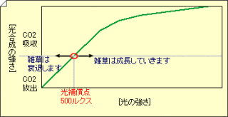 防草シートの遮光率について - 防草シート専門店