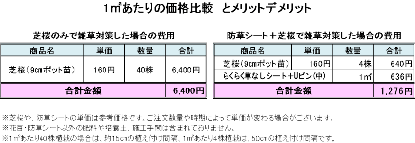 芝桜を楽しみながら雑草対策した方がお得 防草シート専門店