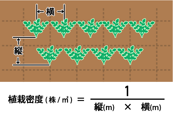 知ってると便利 花苗などの植栽密度と植栽間隔の計算方法