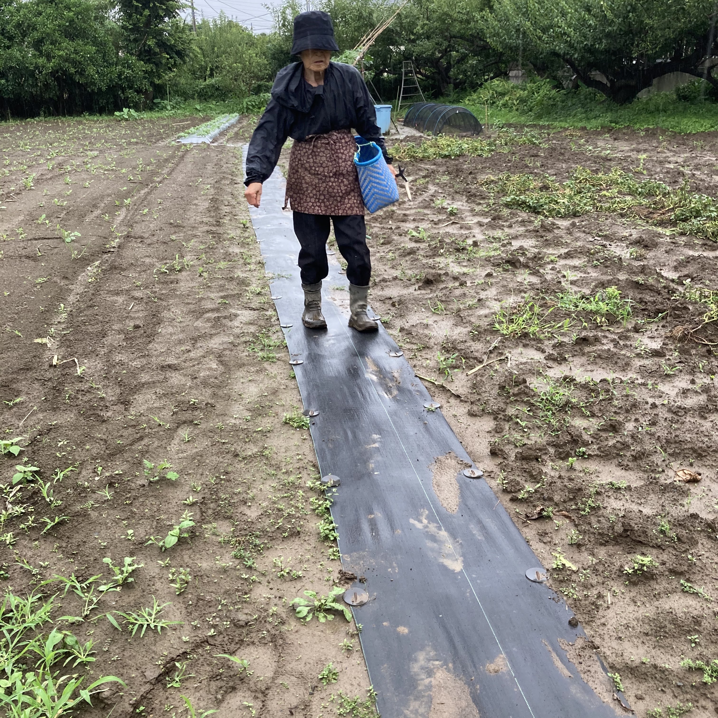 シン 様 雑草対策事例 防草シート専門店