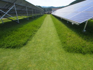 太陽光発電施設に防草シートを施工し、クラピアを植栽した事例