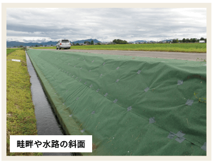 畦畔や水路の斜面