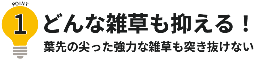 ポイント1どんな雑草も突き抜けない