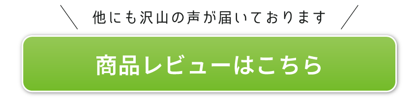 商品レビューはこちら