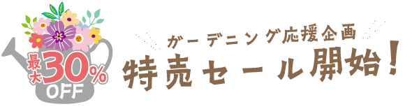 特売セール開始