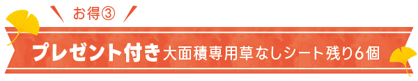 大面積専用草なしシート残り6個