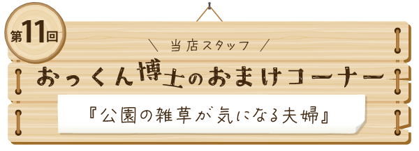 おっくん博士のおまけコーナー