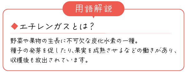 用語解説