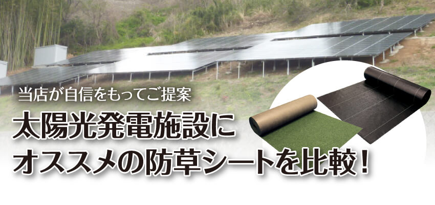 世界の人気ブランド YACHIYO SHOPセフティー3 防草シート 防草大将 幅1M×長さ50M